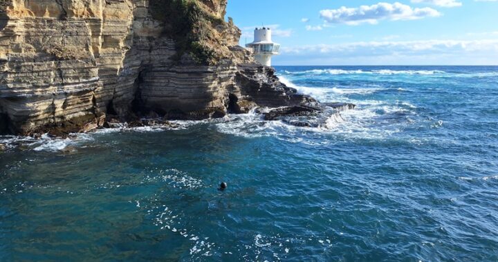 １月１４日（水）